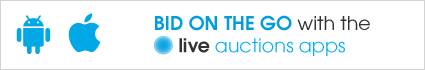 Auction Banner