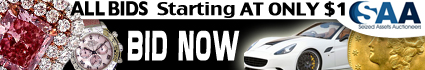 Auction Banner