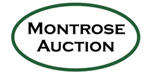 Montrose Auction Inc